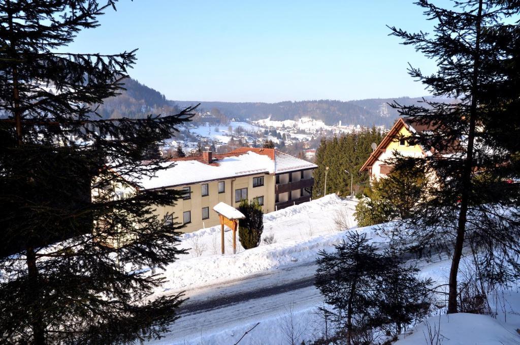 Hotel Pension Waldbaude Warmensteinach Bagian luar foto