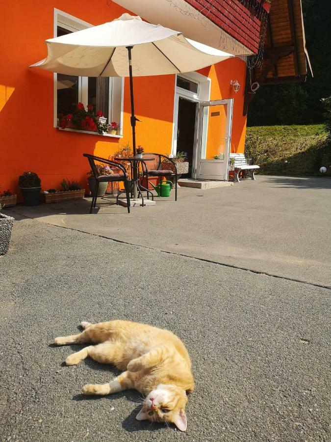 Hotel Pension Waldbaude Warmensteinach Bagian luar foto